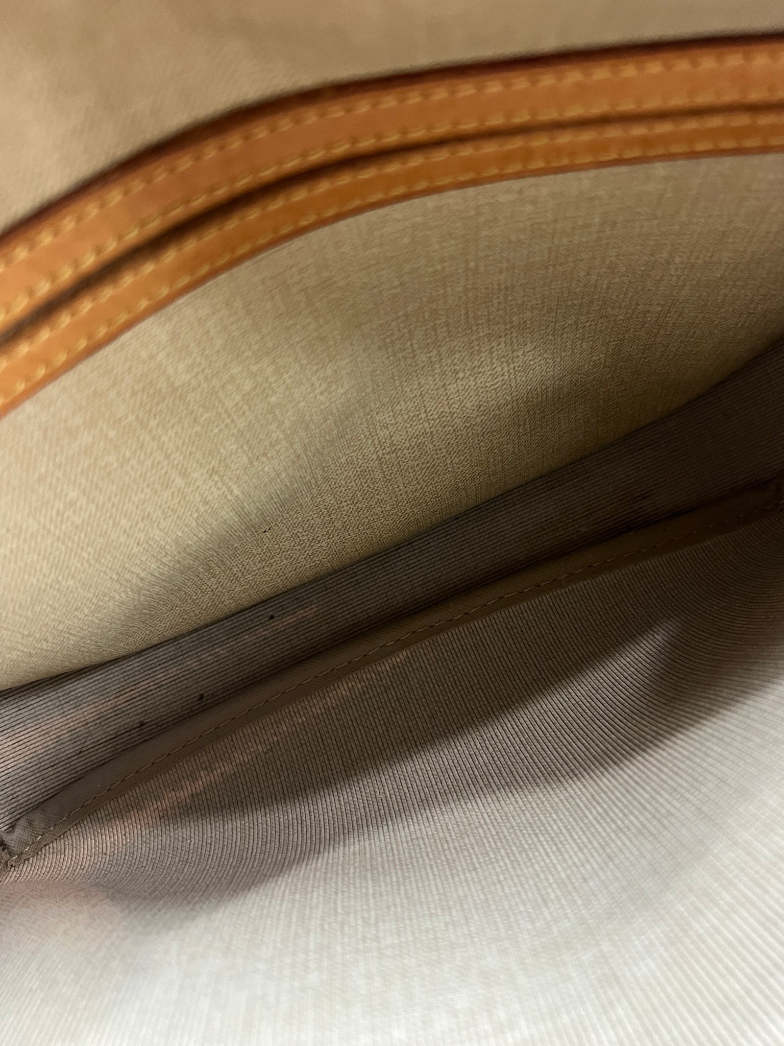 Louis Vuitton Monogram Reporter Bag – The Closet